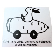 Samolepka např. na auto "závodník"